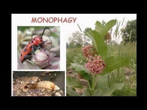 Evolutionary Ecology of Plant Defenses