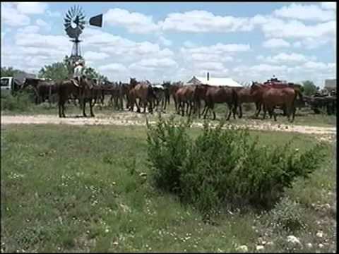 A Day in the Life of a West Texas Cowboy