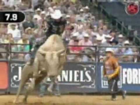 PBR - Cowboy to the Core