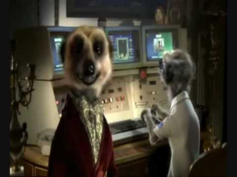 Compare The Meerkat Advert all in one  (Compare The Market), Cheap Car Insurance