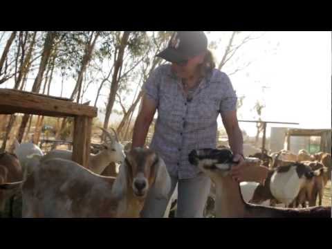 California's Small Farms: Soledad Goat Farm