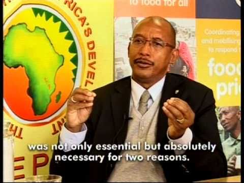 What is the NEPAD Planning and Coordinating Agency?