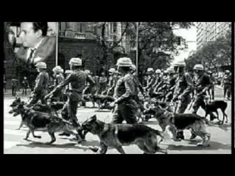 Military Regime in Brazil (Oral History Report)