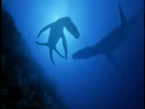 Megalodon vs Liopleurodon