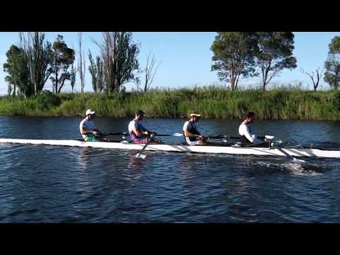 Rowing Four: Victorian Institute of Sport Athletes