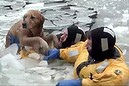 Firefighters rescue family dog in icy river (Thumbnail)