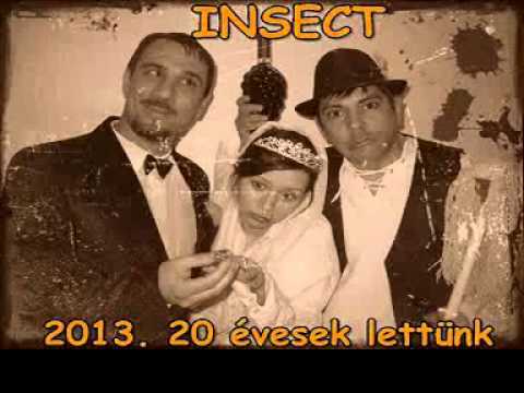 Insect-Lakodalmas egyvalag