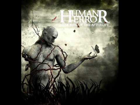 Human Error - The Human Error