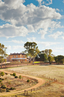 What to do in the Barossa Valley 