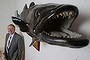 Liberal Senator Ian Macdonald poses with a stuffed fish,