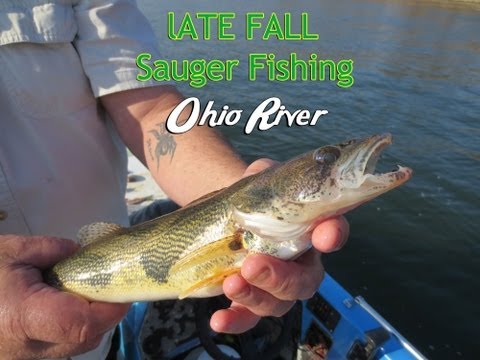 How to Catch Sauger on the Ohio River