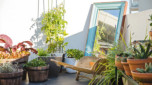 20 best urban garden designs