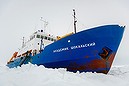 Chinese icebreaker arrives in Antarctica (Thumbnail)