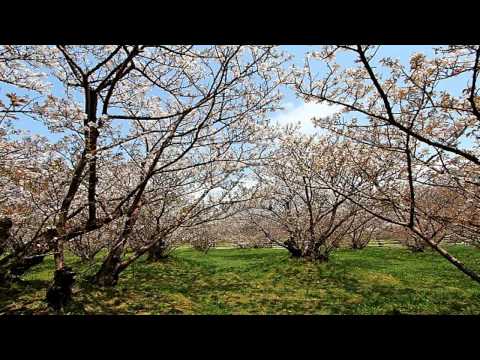 ANTON BRUCKNER.- 1824-1896.- Sinfónia Nº 4-en mi bímenol majeur- Romántica