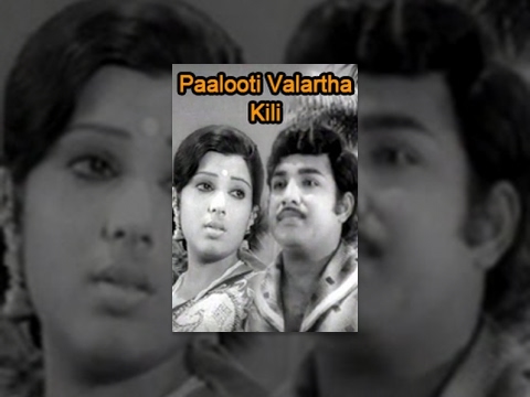 Paalooti Valartha Kili