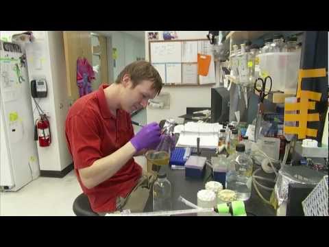 Johns Hopkins University School of Medicine - New Mechanisms in Cell Biology