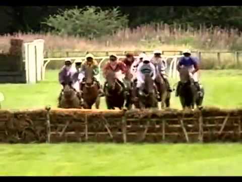 Funny Horse Racing Bloopers Compilation