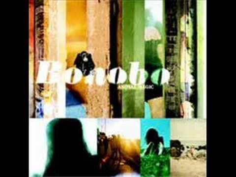 Bonobo - Kota