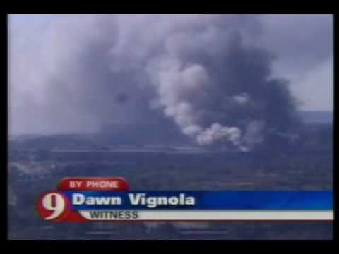 Pentagon Plane Crash Witness Dawn Vignola