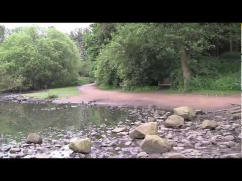 A Walk Around Golden Acre Park, Bramhope, Leeds, West Yorkshire, UK - 13th June, 2012 (720 HD)