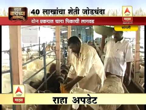 7:12 chya batmya: Sangli goat care story