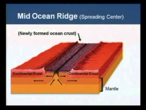 How old is the isthmus of Panama? - Anthony Coates (part 1)