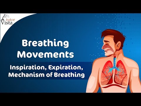 Breathing Movements