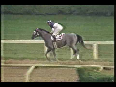 Izvestia Molson Export MIllion 1990 - Triple Crown Winner