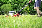 Big green space: Liquid fertiliser gives a lawn a lift and helps it cope with traffic from Christmas guests.