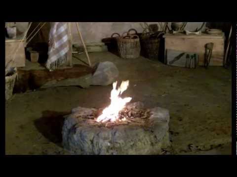 Celtic Life in the Iron Age