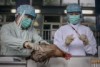 Taiwanese authorities are monitoring hundreds of people who may have had contact with a mainland Chinese tourist infected with the H7N9 strain of bird flu.