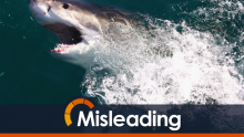 WA Minister Troy Buswell's shark call claim misleading