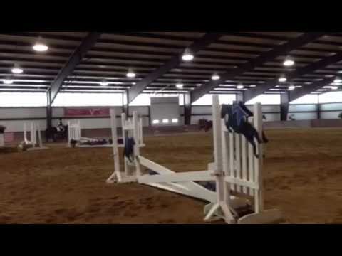 Crazy IEA horse!