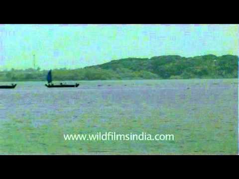 DVD237-kerala-cochi-1-2