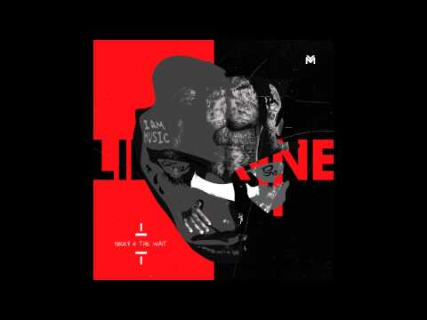 Lil Wayne - Rolling In The Deep (Sorry 4 The Wait)