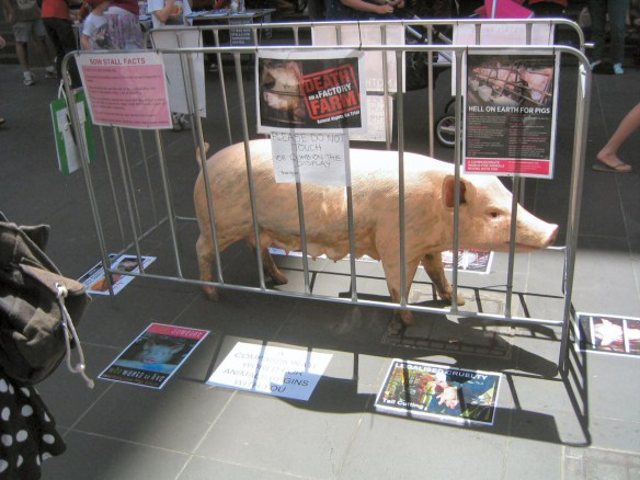 'Pig' in cage with various posters 