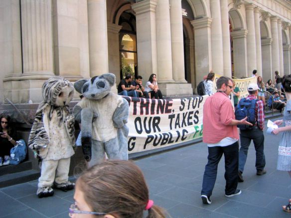 Protesters in owl and possum costumes