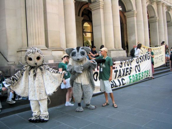 Protesters in owl and possum costume
