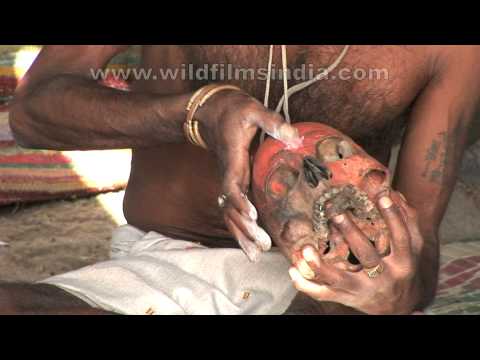 Watch it to believe It!! The terrifying Aghori sadhus