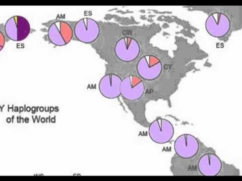 Genetic Study: DNA history : evolution and migrations :africa.asia.europe