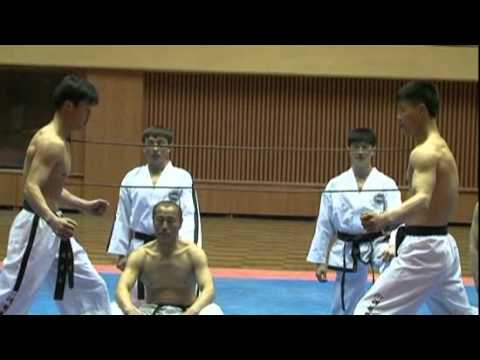 Incredible Ultimate N Korean Taekwondo 태권도.flv