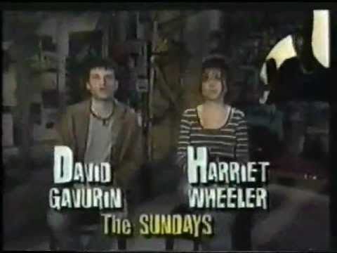 The Sundays HARRIET AND DAVID Hostin an Mtv show