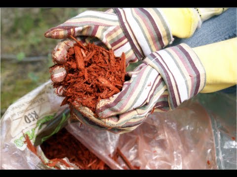 How to Make Mulch