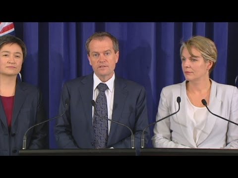 Bill Shorten says Labor faces 'a great challenge' in opposition