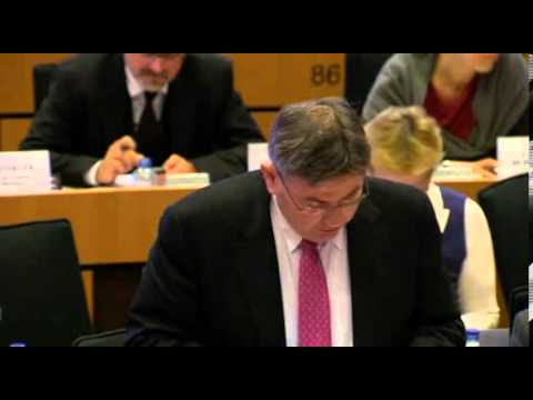 Derk Jan Eppink speech on EU December summit on deeper Economic Union