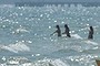 Port Melbourne beach summer weather