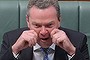 Leader of the House Christopher Pyne pretends to cry during a point of order during Question Time at Parliament House in Canberra on Wednesday 11 December 2013. Photo: Alex Ellinghausen