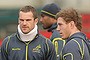 MELBOURNE, AUSTRALIA - JUNE 24:  Pat McCabe, Wycliff Palu and David Pocock of the Wallabies look on during an Australian Wallabies training session at Visy Park on June 24, 2013 in Melbourne, Australia.  (Photo by Scott Barbour/Getty Images)