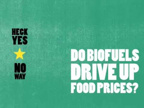 Ask Questions Please... Economy - Environment - Food vs Fuel