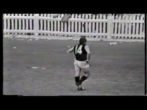 1973 State game Victoria 21.13.139 d South Australia 20.15.135(Jesaulenko 10 goals)